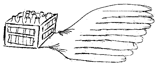 Fl&uuml;gel-Ca(r)sten